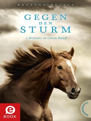 cover image of Gegen den Sturm